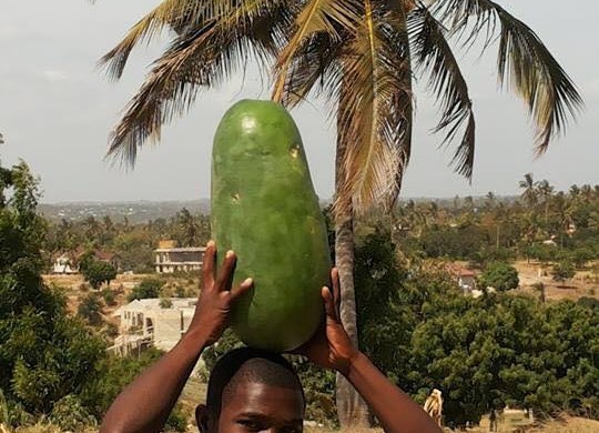 Watermelons in Tanzania!